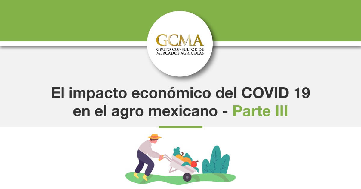 El impacto económico del COVID 19 en el agro mexicano.  Parte III