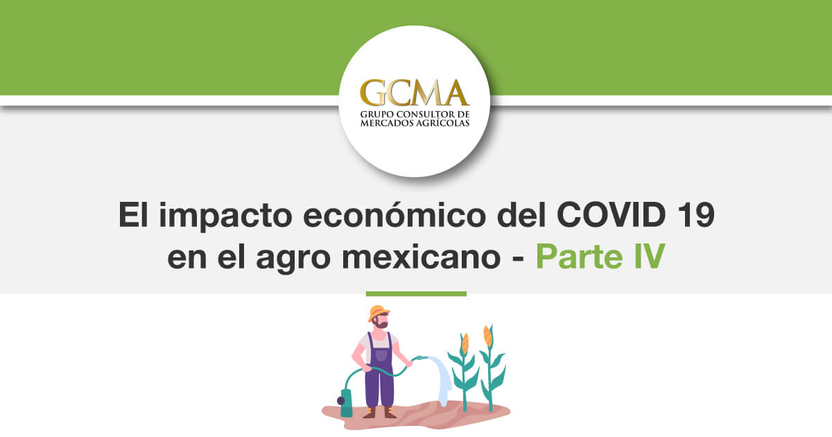 El impacto económico del COVID 19 en el agro mexicano.  Parte IV
