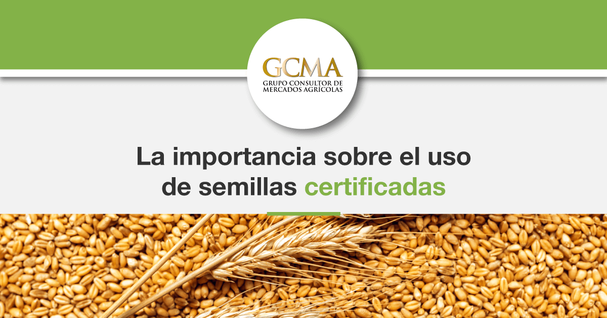 La importancia sobre el uso de semillas certificadas