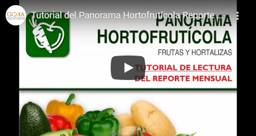 Tutorial del Panorama Hortofrutícola Reporte Mensual