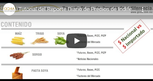 Tutorial del Reporte Diario de Precios de Indiferencia