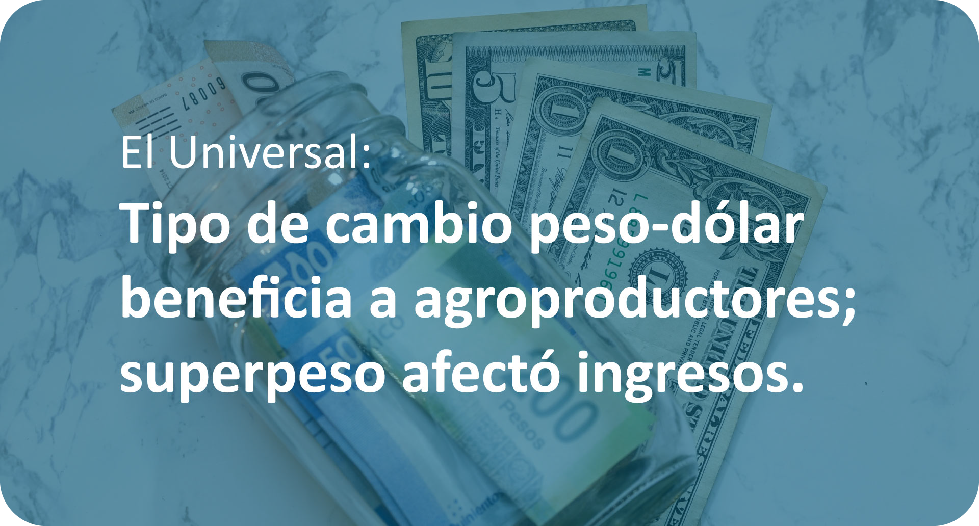 El Universal: Tipo de cambio favorece a agroproductores: dólar en 19 pesos impulsa exportaciones