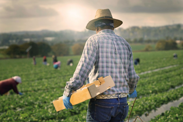 Cuarto Poder de Chiapas: Buscan regresar la productividad del campo