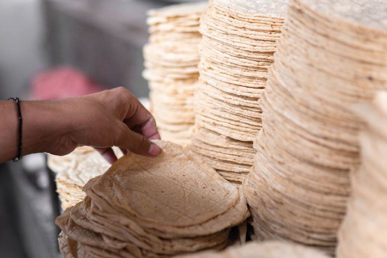 Fortuna y poder: Desafiante la meta para reducir 10% el precio de la tortilla de maíz: GCMA