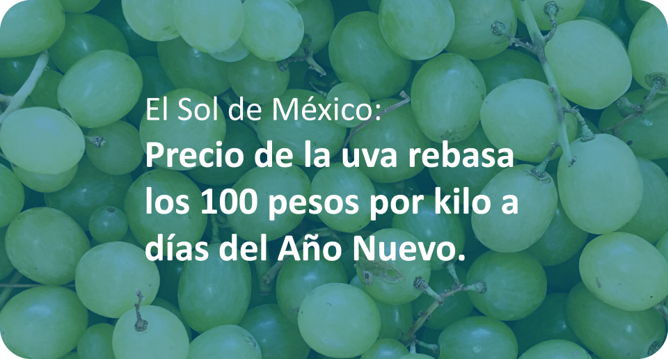 El Sol de México: Precio de la uva rebasa los 100 pesos por kilo a días del Año Nuevo