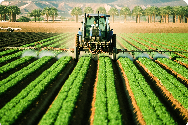 Canal 6: Retos de la política agropecuaria en México.