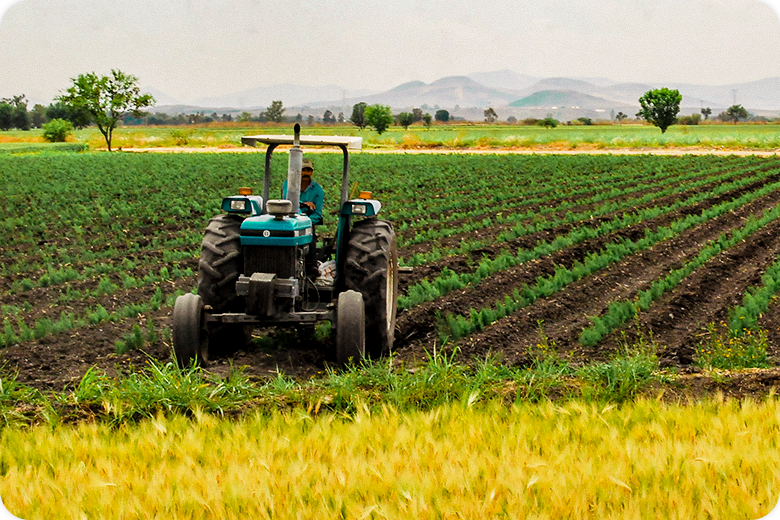 Análisis Superior: ¿Cómo va el sector agropecuario ante volatilidad en mercados?.