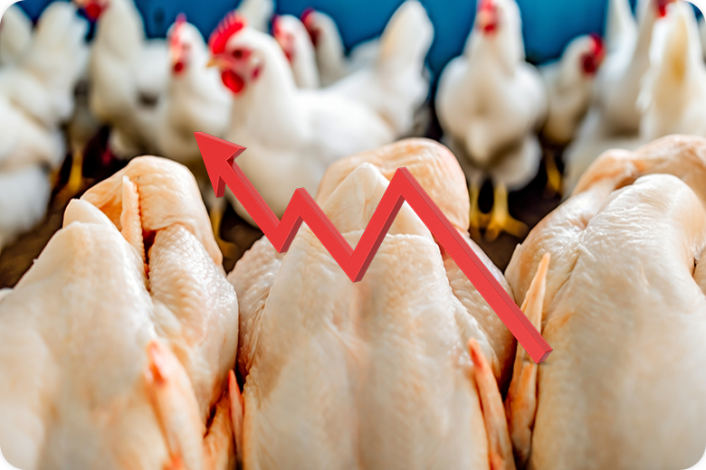 Reforma: Vuela’ precio de pollo: cuesta pechuga $138