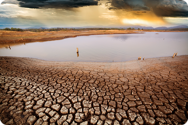 Así las cosas: Impacto de las lluvias y estado de las presas en el sector agropecuario