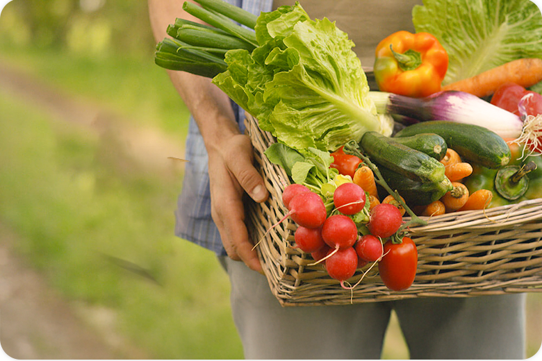 Publimetro: Precio de frutas y verduras se dispara hasta 800% en México por acción del crimen organizado e intermediarios