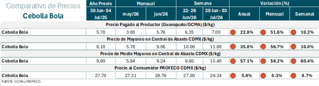 Precios y variaciones de cebolla bola por etapas de mercado.