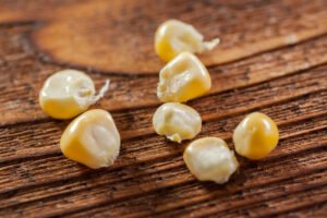 fresh corn on wooden table
