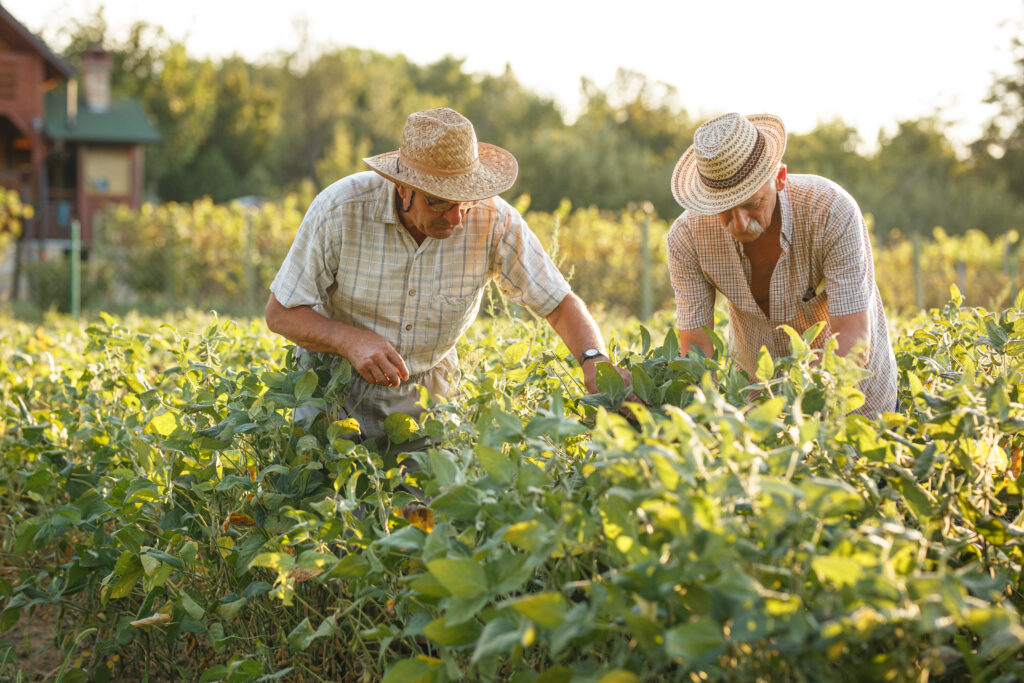 two-senior-frends-on-farm-2026-03-20-05-42-14-utc