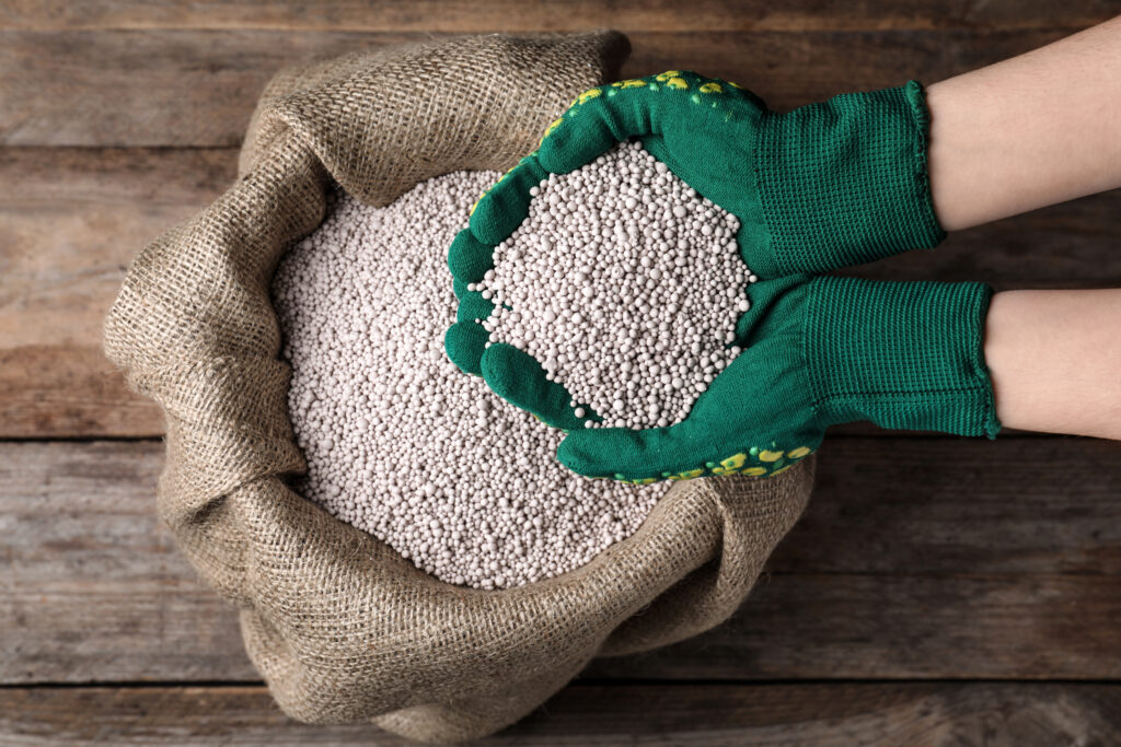 Manos con guantes verdes sosteniendo fertilizante granulado sobre saco.