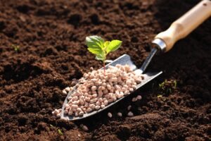 Shovel with fertilizer and seedling on soil, closeup