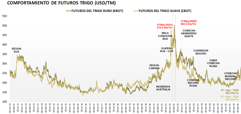 Gráfica 07.08.26 2