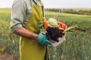 Agricultor con delantal y guantes sostiene caja de vegetales frescos en un campo.