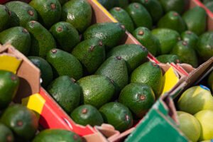 Aguacates verdes frescos en cajas de cartón.