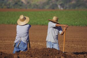 Dos campesinos con sombreros descansando con herramientas en un campo arado.
