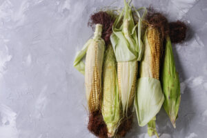 Young raw corn cobs