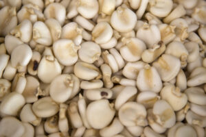 Row beans