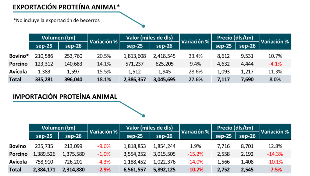 Datos de exportación e importación de proteína animal, septiembre 2025 y 2026.